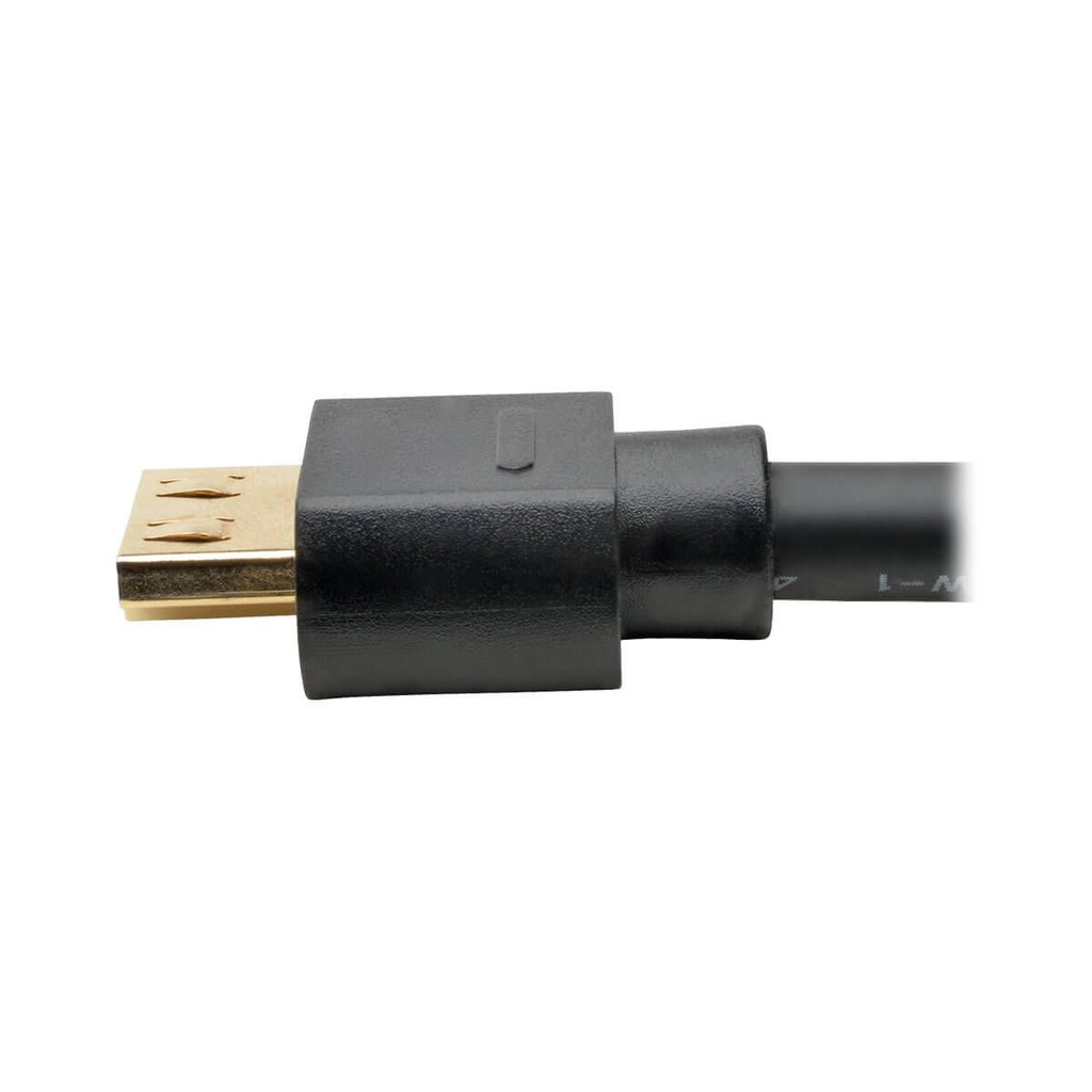 TRIPP LITE P586-020-HD-V2A