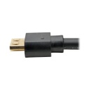 TRIPP LITE P586-020-HD-V2A