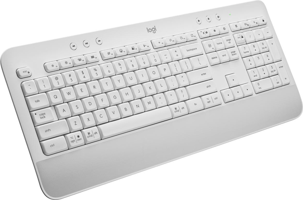 LOGITECH 920-010962