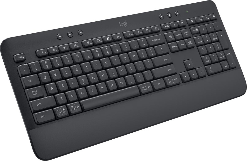 LOGITECH 920-010908