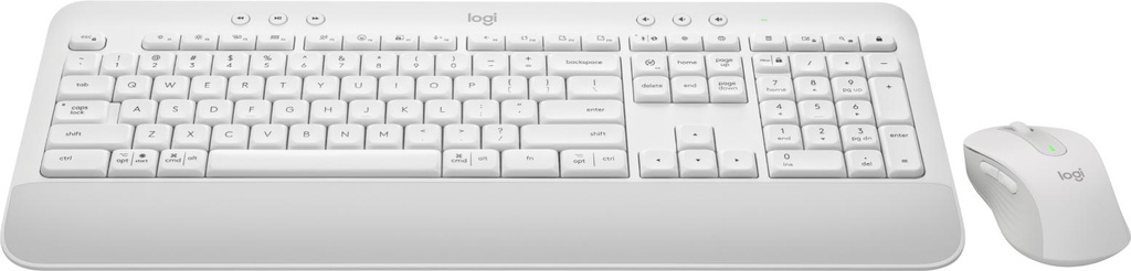 LOGITECH 920-011018