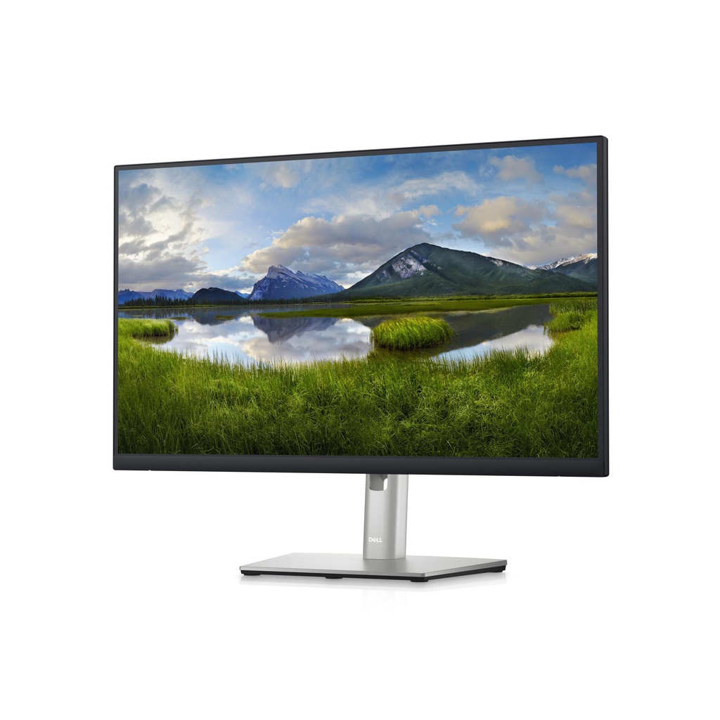 DELL CSG DELL-P2423D