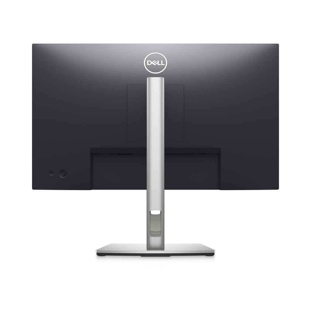DELL CSG DELL-P2423DE