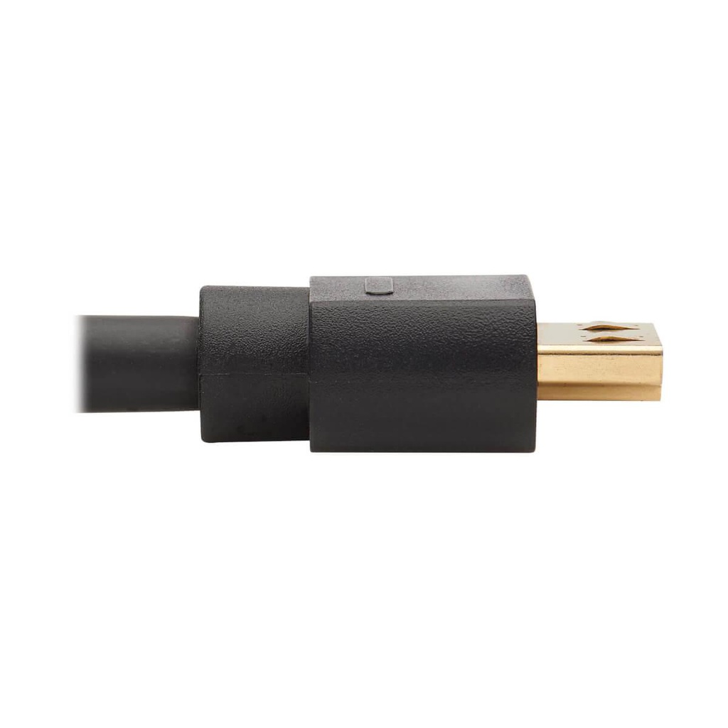 TRIPP LITE P582-020-4K6AE