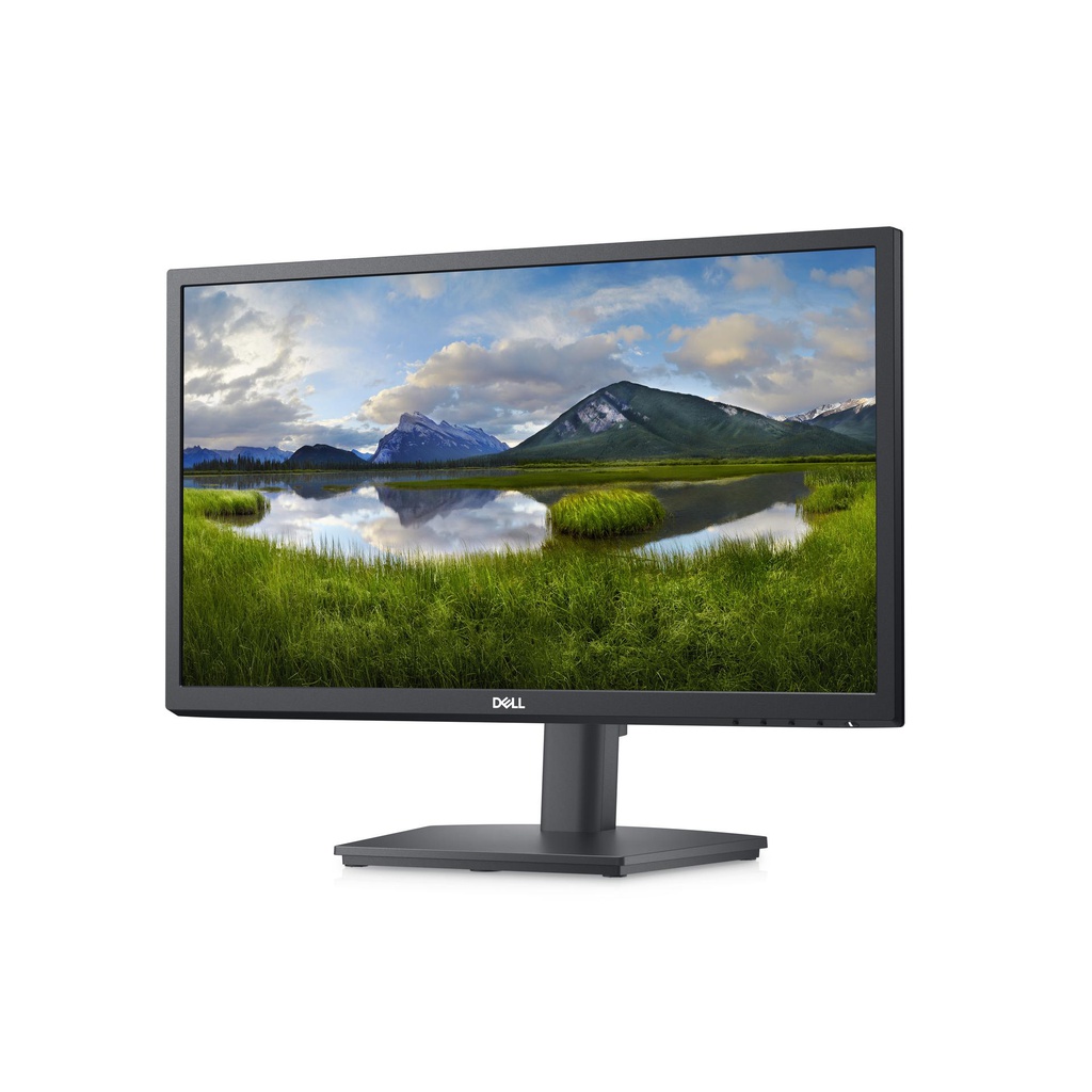 DELL CSG DELL-E2222HS