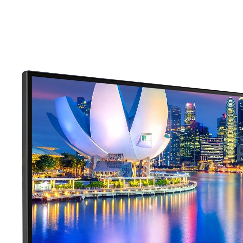 LG Electronics 29WP500-B