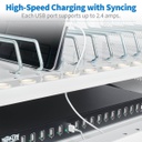 TRIPP LITE CS16USBWHG