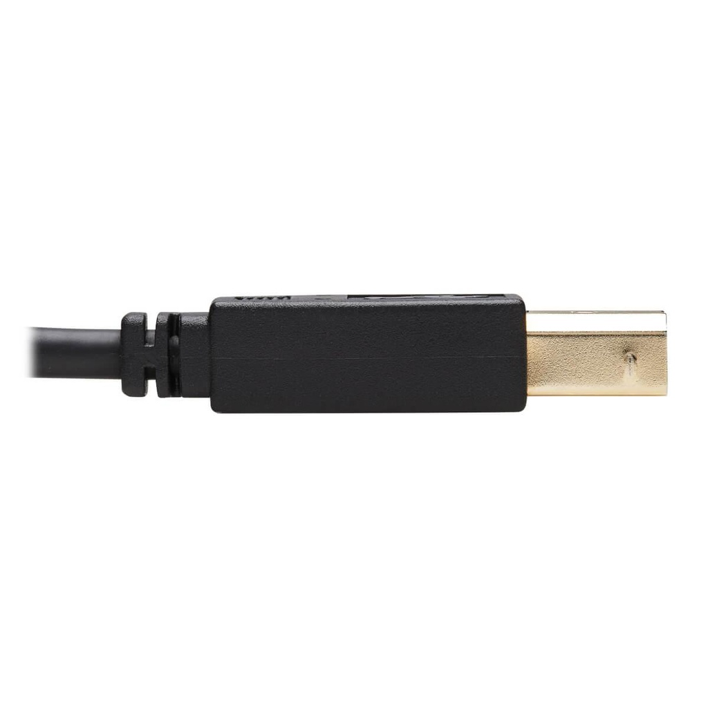 TRIPP LITE P782-006-HA