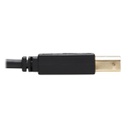 TRIPP LITE P782-006-HA