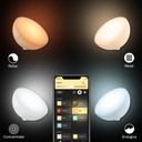PHILIPS HUE 7602031U7