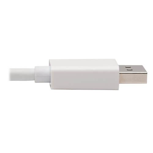 TRIPP LITE P136-06N-HDR-W