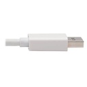 TRIPP LITE P136-06N-HDR-W
