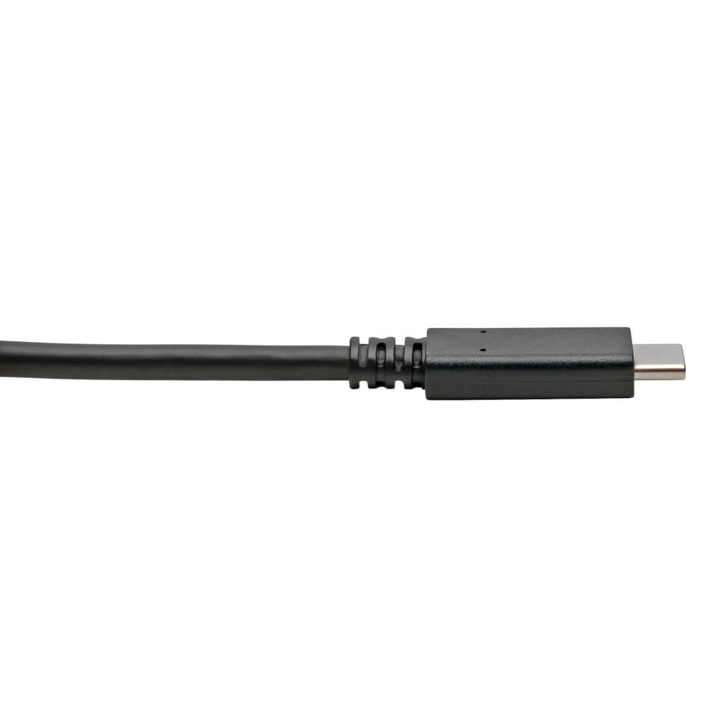 TRIPP LITE U428-C03-G2