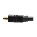TRIPP LITE P568-100-ACT