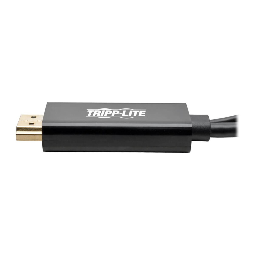 TRIPP LITE P130-06N-DP-V2