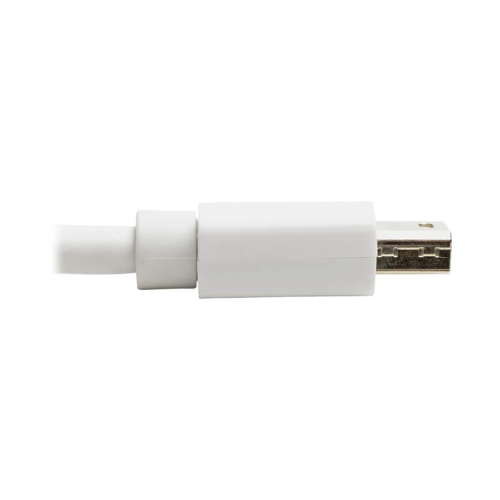TRIPP LITE P139-06N-DP-V2B