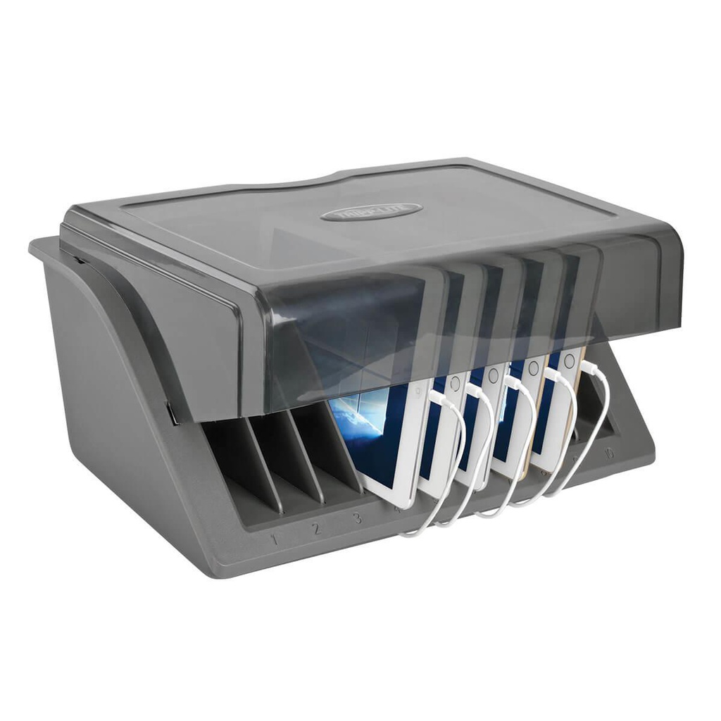 TRIPP LITE CSD1006USB