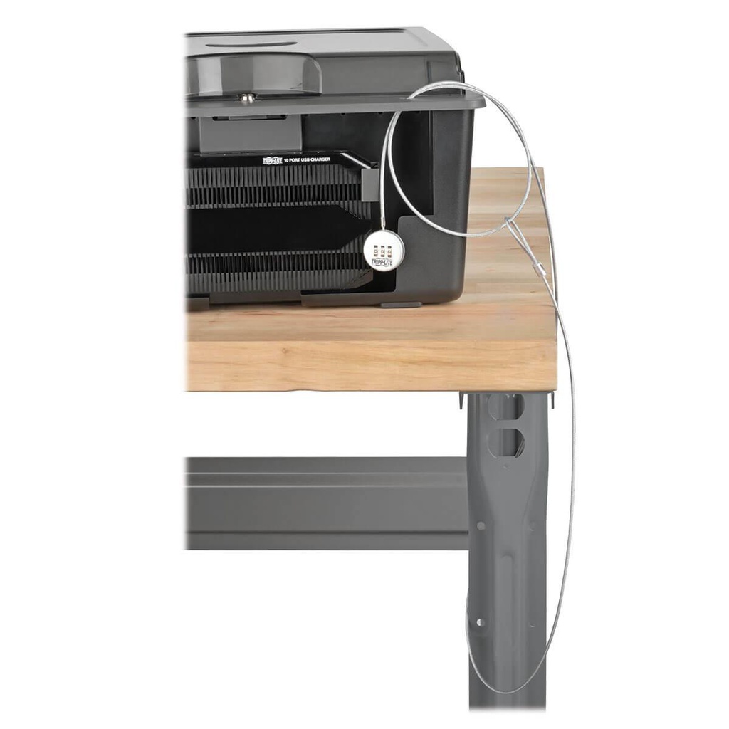 TRIPP LITE CSD1006USB