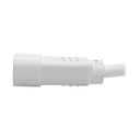 TRIPP LITE P018-006-AWH