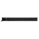 TRIPP LITE PDU1215