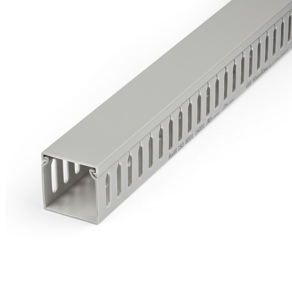 Organisateur de câbles StarTech.com CBMWD5050