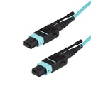 StarTech.com MPO12PL1M, 1 m, OM3, MPO/MTP, MPO/MTP