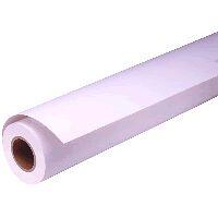 Epson Pap Photo Premium Glacé (250) 16" (0,406x30,5m) (S041742)