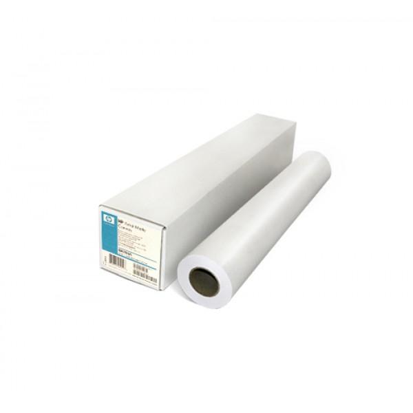 HP Professional Matte Canvas - 610mm x 15.2m (E4J59C)