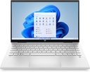 HP Pavilion x360 14-dy1007ca