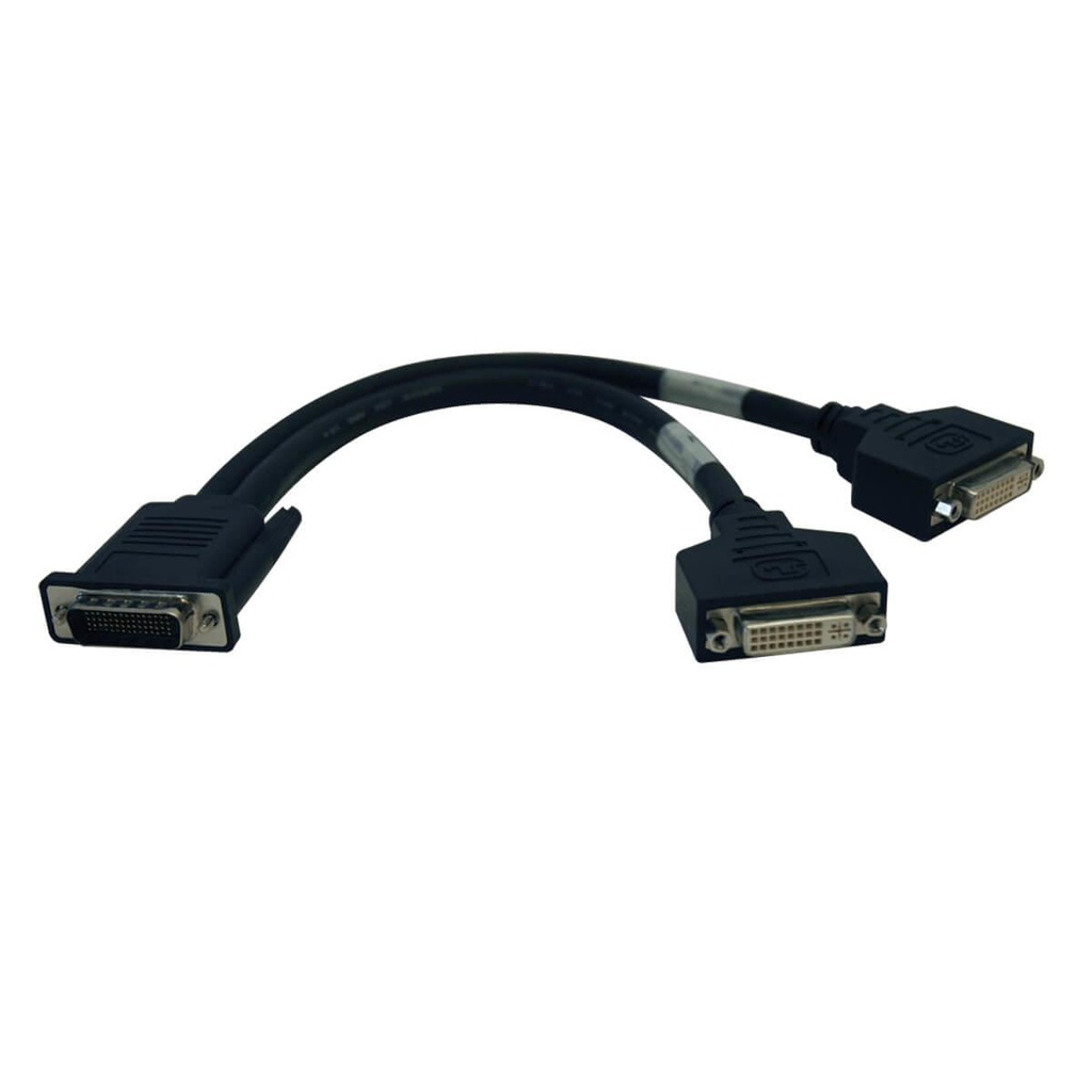 Tripp Lite P576-001, 0,3 m, DMS, 2 x DVI, Mâle, Femelle, Or