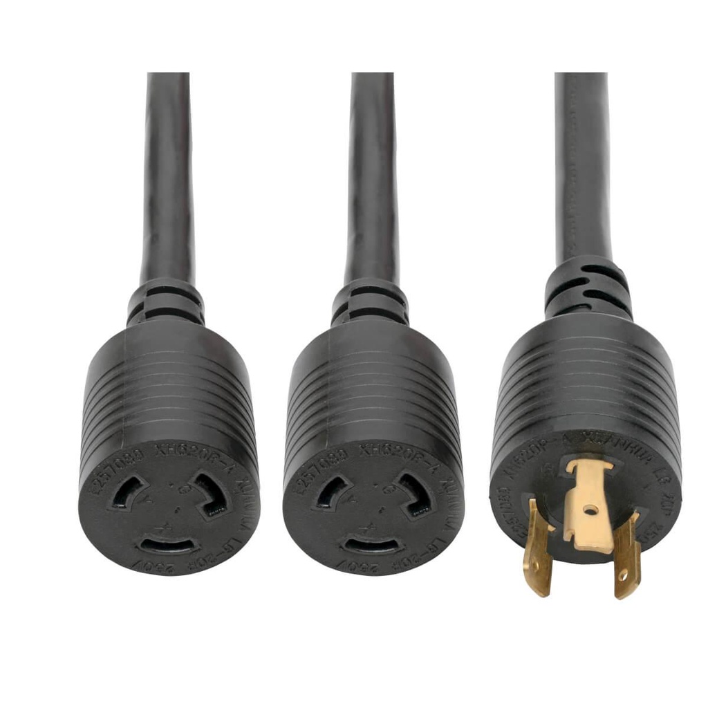 Tripp Lite 1ft L6-20P - 2 X L6-20R, 0.3 m, 20 A (P039-001-2)