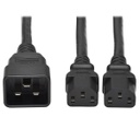 Tripp Lite P032-002-2C13, 0,61 m, Coupleur C13, Coupleur C20, 100 - 250 V, 15 A