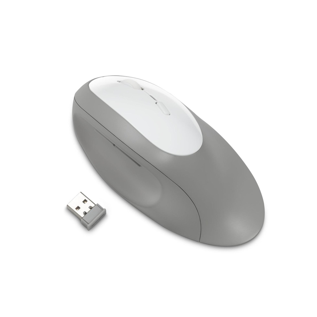 Kensington Souris sans fil Pro Fit® Ergo—Gris (K75405WW)