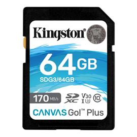 Kingston Technology 64GB, Class 10, UHS-I, U3, V30, exFAT (SDG3/64GB)