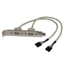 StarTech.com 2 Port USB A Female Slot Plate Adapter (USBPLATE)
