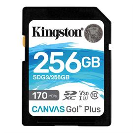 Kingston Technology 256GB, Class 10, UHS-I, U3, V30, exFAT (SDG3/256GB)