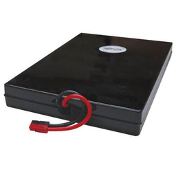 [4256321] Batterie pour onduleur Tripp Lite RBC69-1U