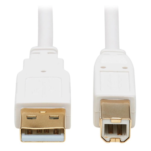 Câble USB Tripp Lite U022AB-010-WH