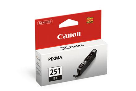 Canon Réservoir d'encre noire CLI-251BK (6513B001)