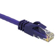 C2G 1ft Cat6 550MHz Snagless Patch Cable Purple (27800)