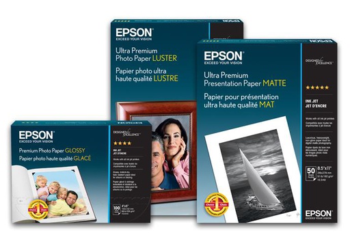 Epson Papier mat pour toile d'exposition, 17" x 40' (S045256)