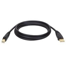 [4374710] Tripp Lite Câble USB 2.0 A vers B (M/M), 10 pieds (3,05 m) (U022-010-R)