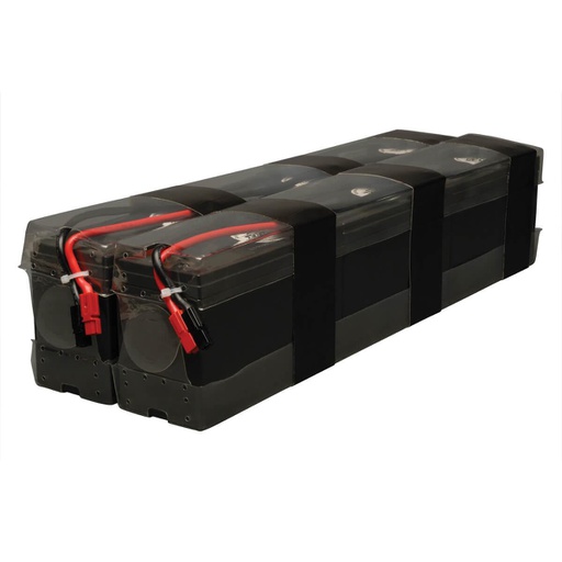 Batterie d'onduleur Tripp Lite RBC96-2U